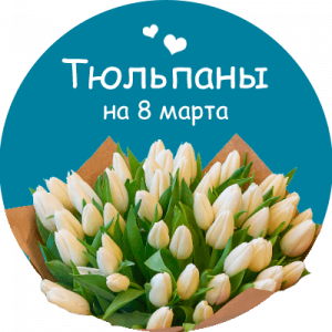 Купить тюльпаны в Весьегонске